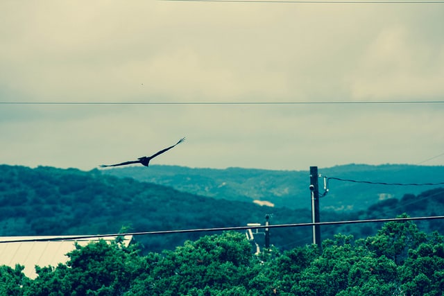 Concan in the Hill Country - https://www.flickr.com/photos/aditi_rao/8101559640