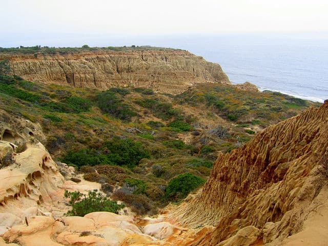 Torrey Pines State Natural Reserve - https://upload.wikimedia.org/wikipedia/commons/thumb/a/a1/Torrey_Pines_State_Park_Valley.jpg/640px-Torrey_Pines_State_Park_Valley.jpg