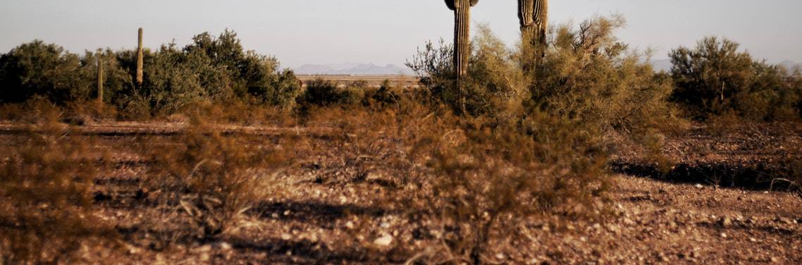 texas nature