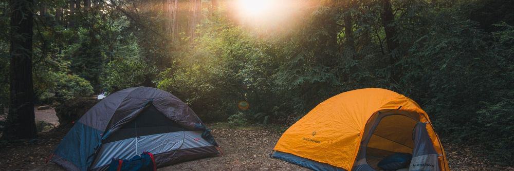 camping-tents-in-the-woods-with-sunshine
