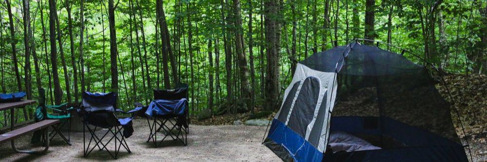 chairs for camping in the woods