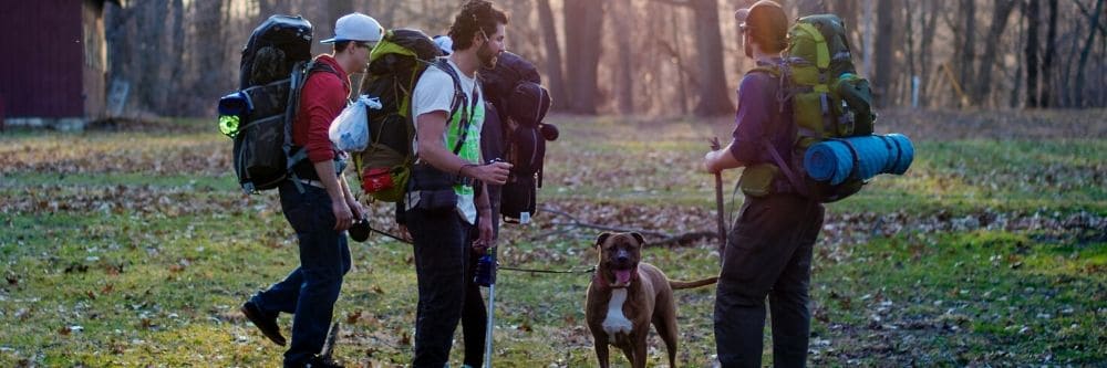 friends hiking with pet