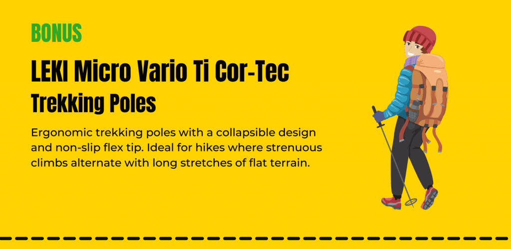 leki-micro-vario-ti-cor-tec-trekking-poles